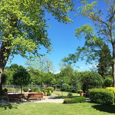 Garden View *